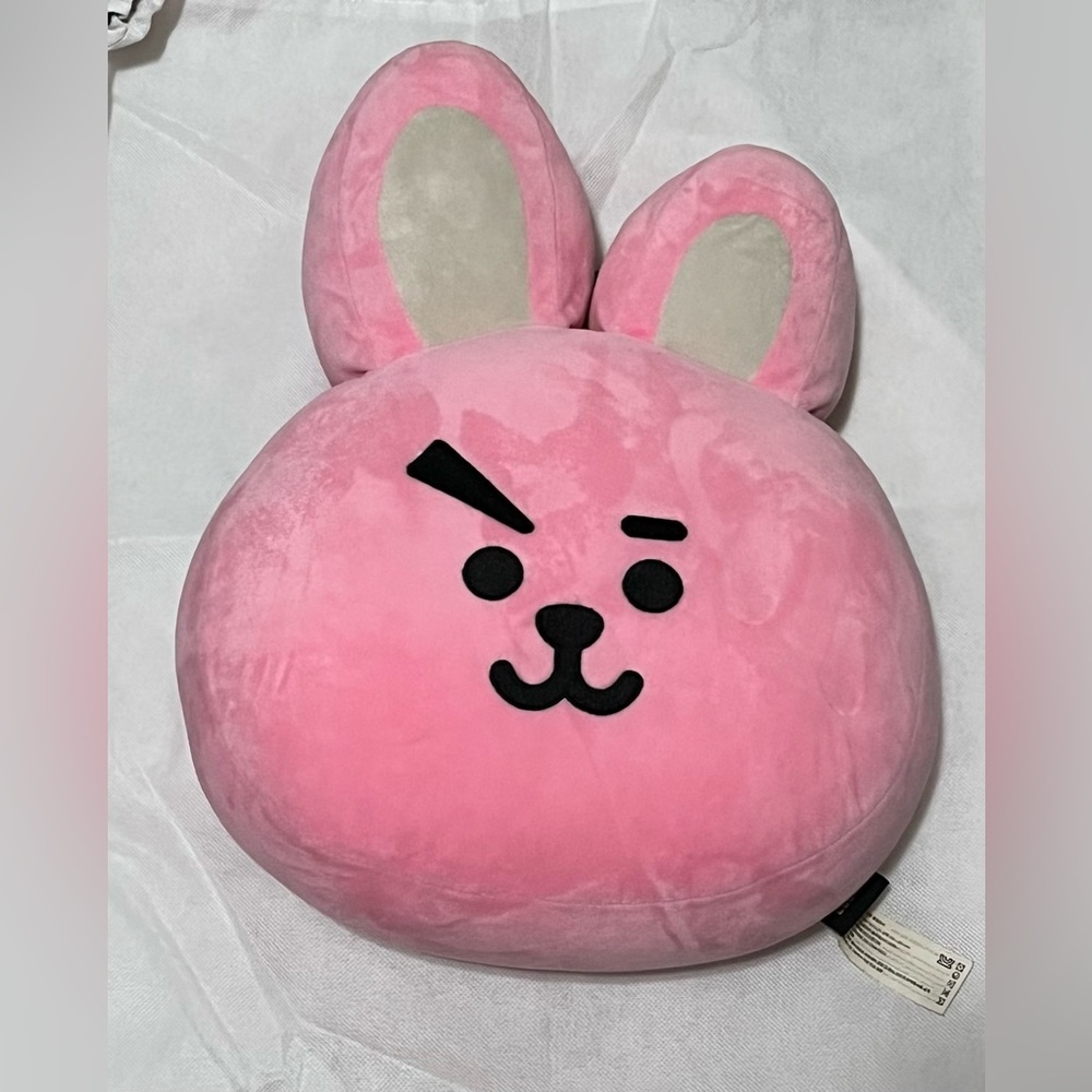 Cooky BT21 Embroidered Plush Pillow (+original draw string bag)